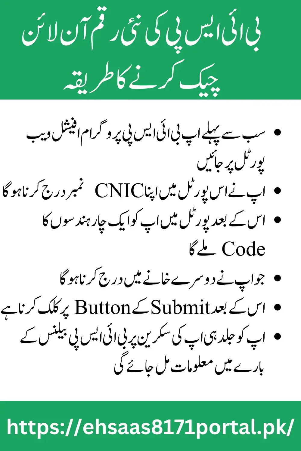 BISP Check Balance Online By CNIC 2024 October Update