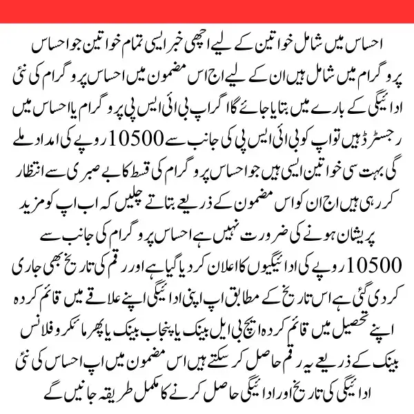 Ehsaas 10500 Payment Update: Financial Support for Pakistan's Needy - 8171 Program