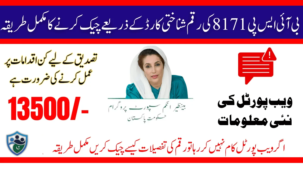 BISP 8171 CNIC Check 2025 Portal Down? Use These Methods Instead