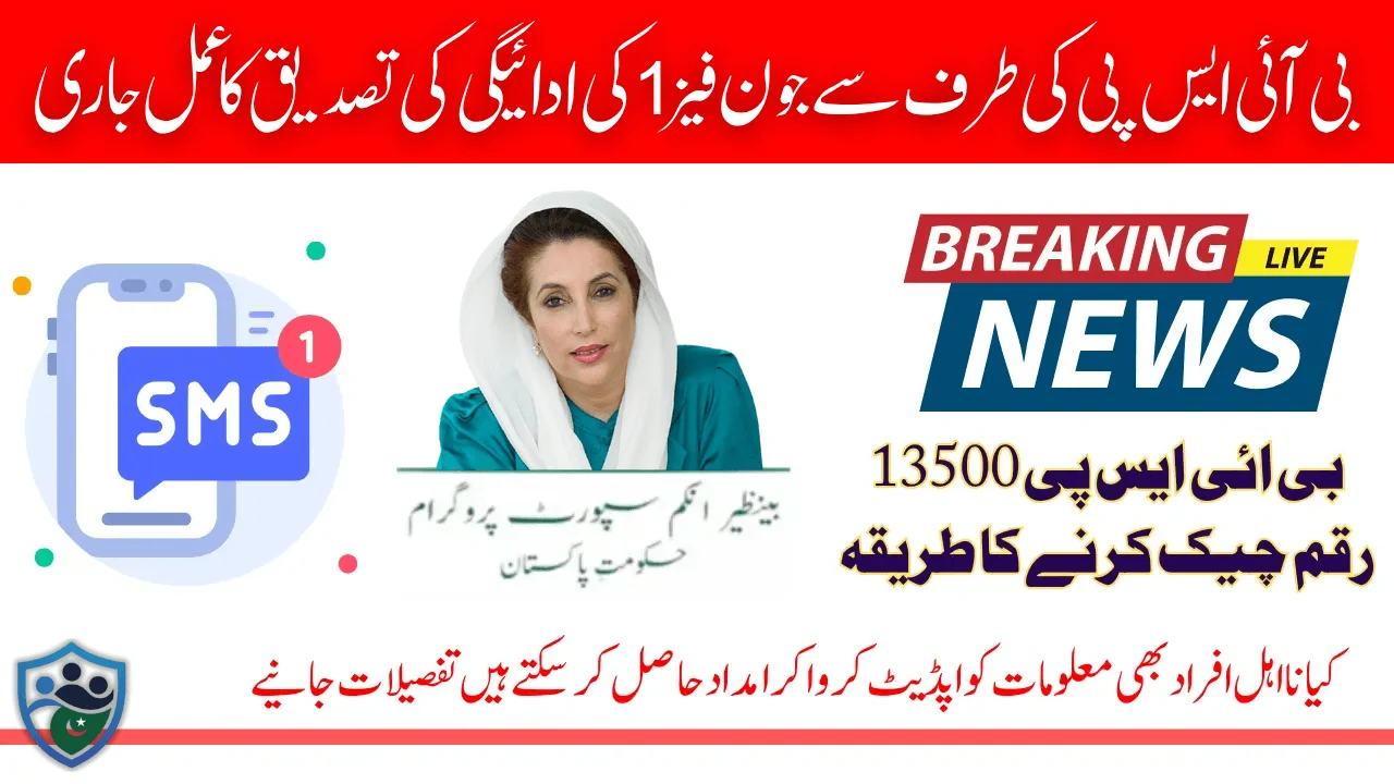 BISP 8171 Payment Identification Process Start For Ineligible Beneficiaries