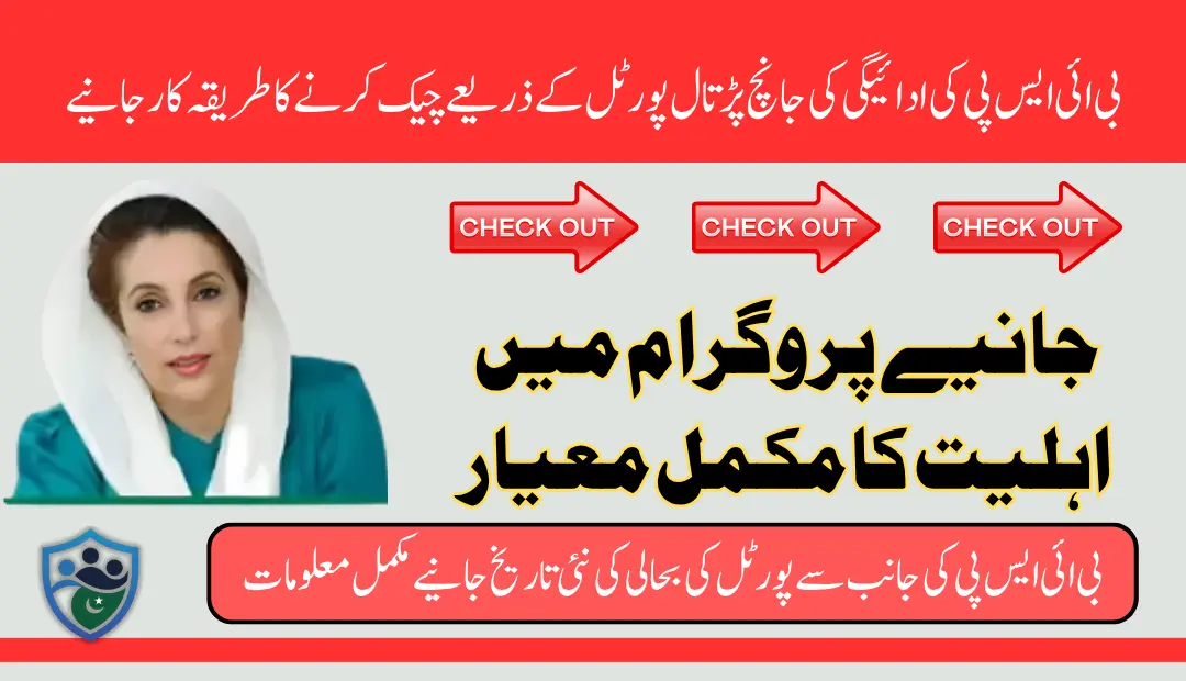 BISP 8171 Portal June 2025 Payment Check Eligibility With Easiest Methods (1)