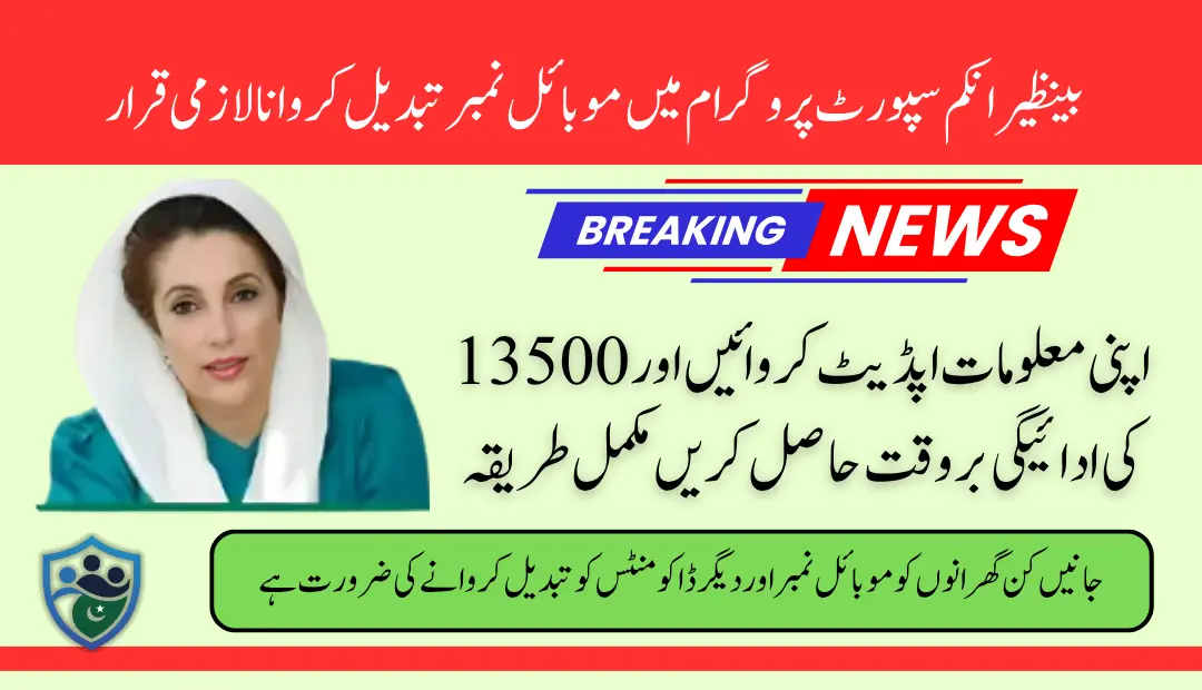 How to Update BISP 8171 Mobile Phone Number and Necessary Information For Avail 13500 Payment (1)