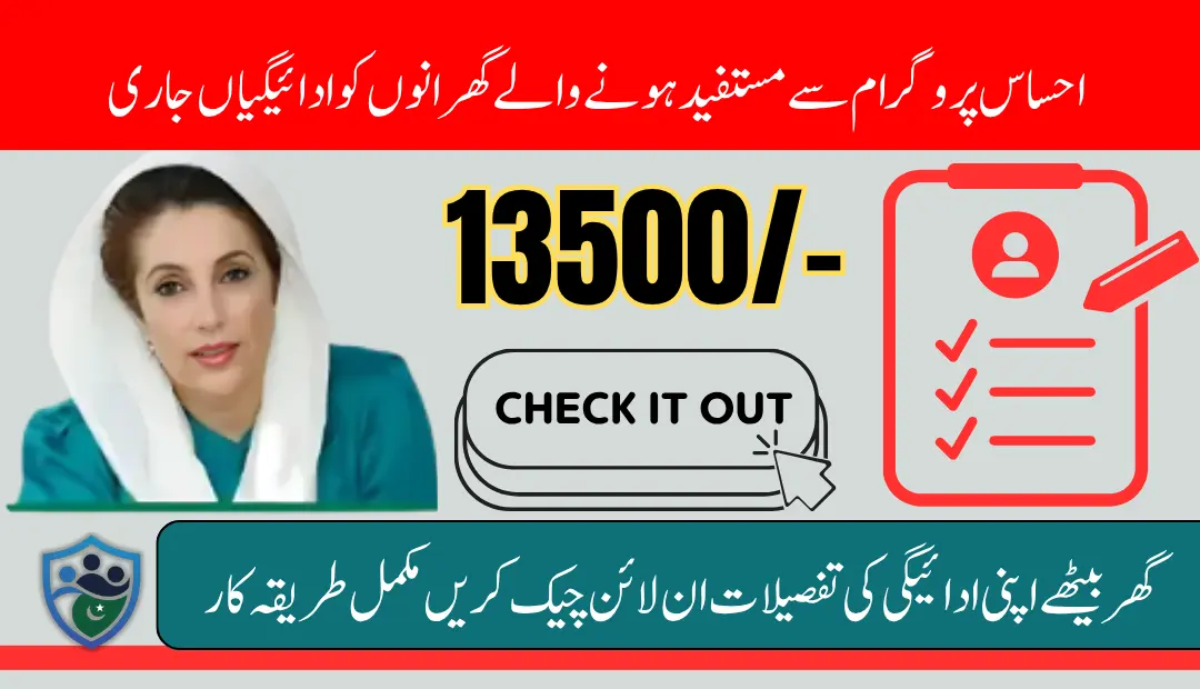 8171 Ehsaas Program June 2025 Check Your Payment Online Using CNIC