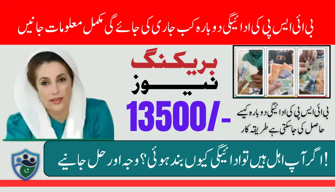 BISP 13500 Payment Issue – Find Out the Reason and How to Get It Restarted (2)