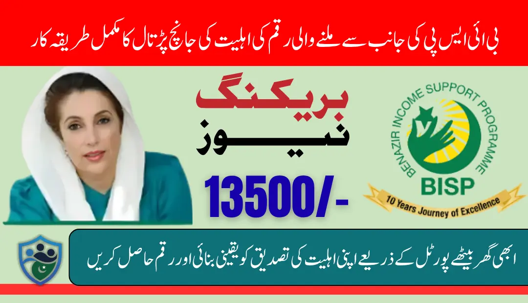 BISP 8171 Payment Eligibility Check Through 8171 Web Portal Know Details 2025 (1)