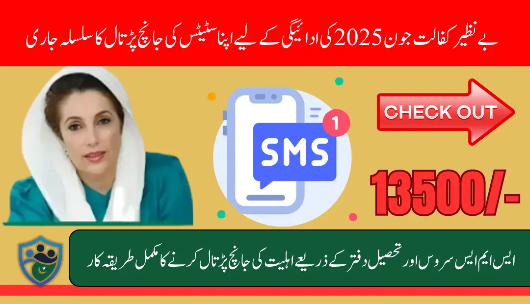 BISP Kafalat Payment Status June 2025 Check Through 8171 SMS Service And Tehsil Office (1)